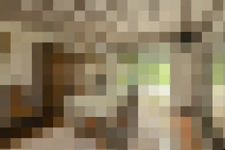 Oude Bredaseweg 6 Bavel thumbnail 13