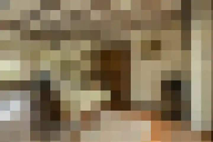 Oude Bredaseweg 6 Bavel thumbnail 14