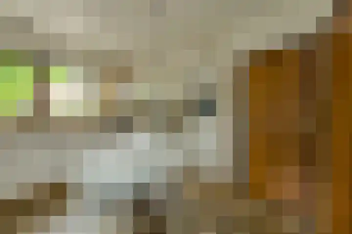 Oude Bredaseweg 6 Bavel thumbnail 16