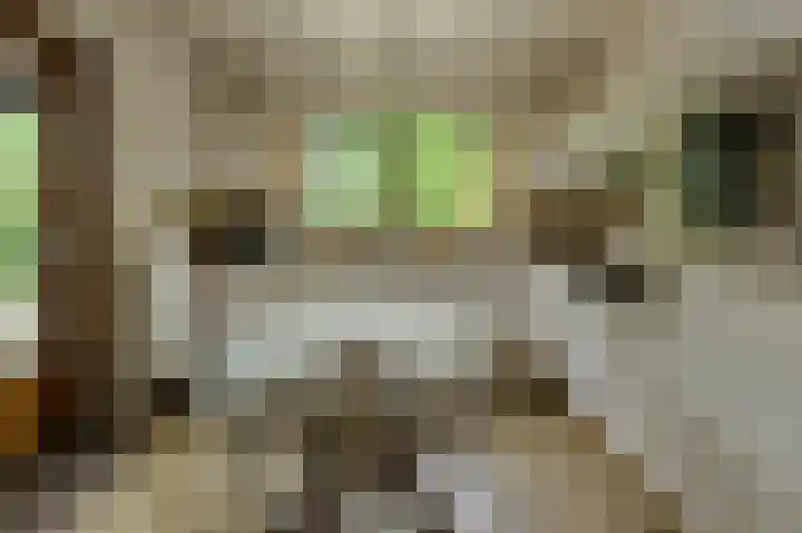 Oude Bredaseweg 6 Bavel thumbnail 17