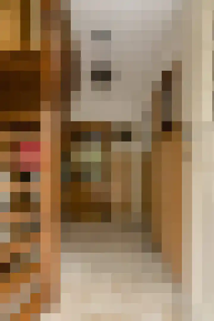 Oude Bredaseweg 6 Bavel thumbnail 20