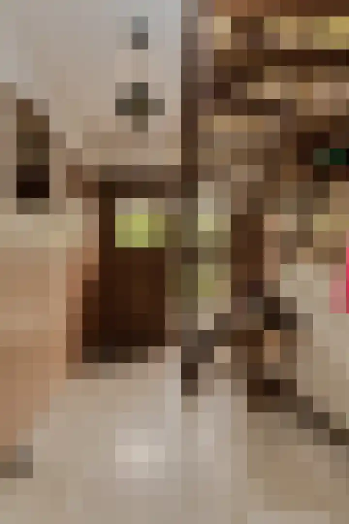 Oude Bredaseweg 6 Bavel thumbnail 21
