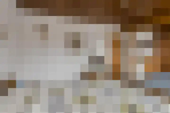 Oude Bredaseweg 6 Bavel thumbnail 25