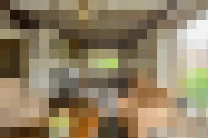 Oude Bredaseweg 6 Bavel thumbnail 6
