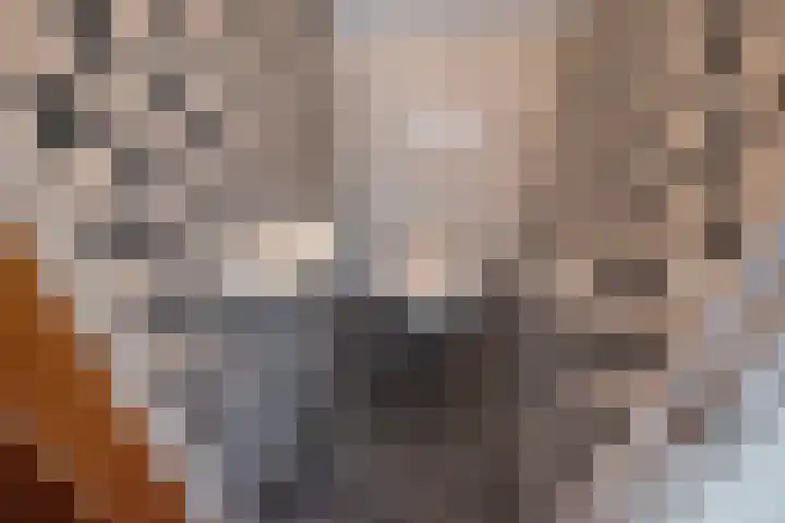 Oude Delft 42 Delft thumbnail 41