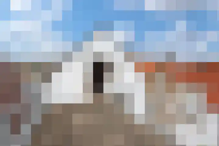 Oude Delft 42 Delft thumbnail 48