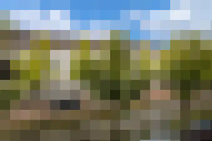 Oude Delft 42 Delft thumbnail 9