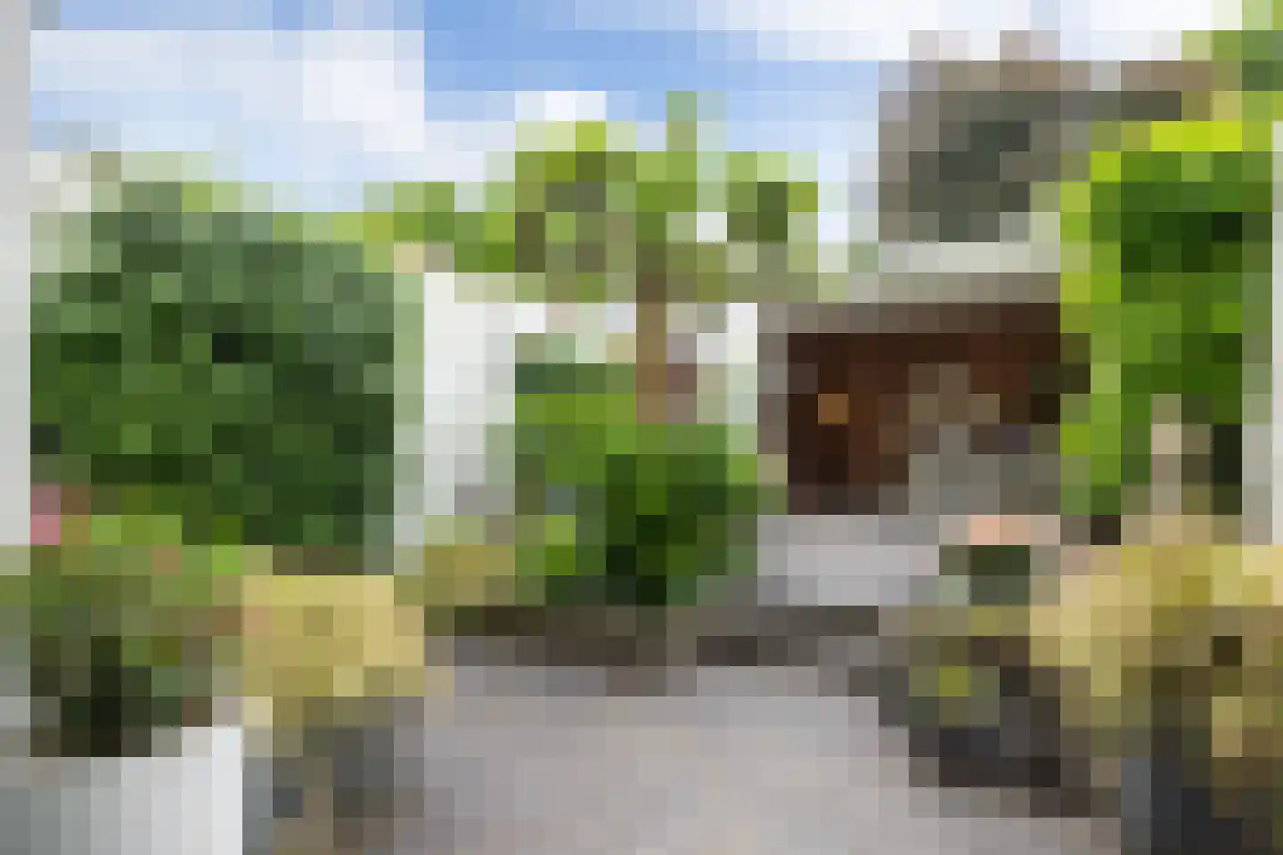Oude Dieze 9 's-Hertogenbosch thumbnail 36