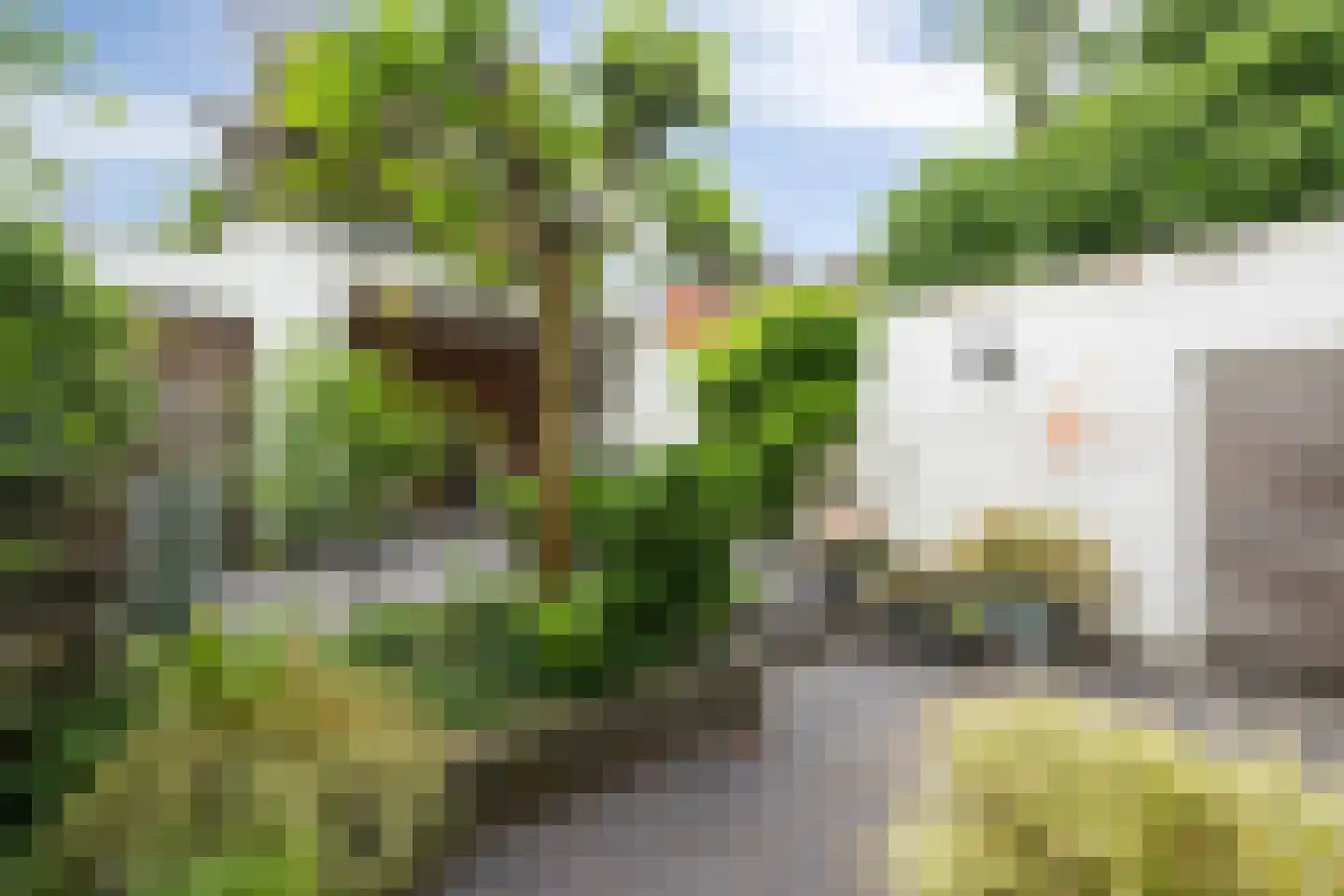 Oude Dieze 9 's-Hertogenbosch thumbnail 37
