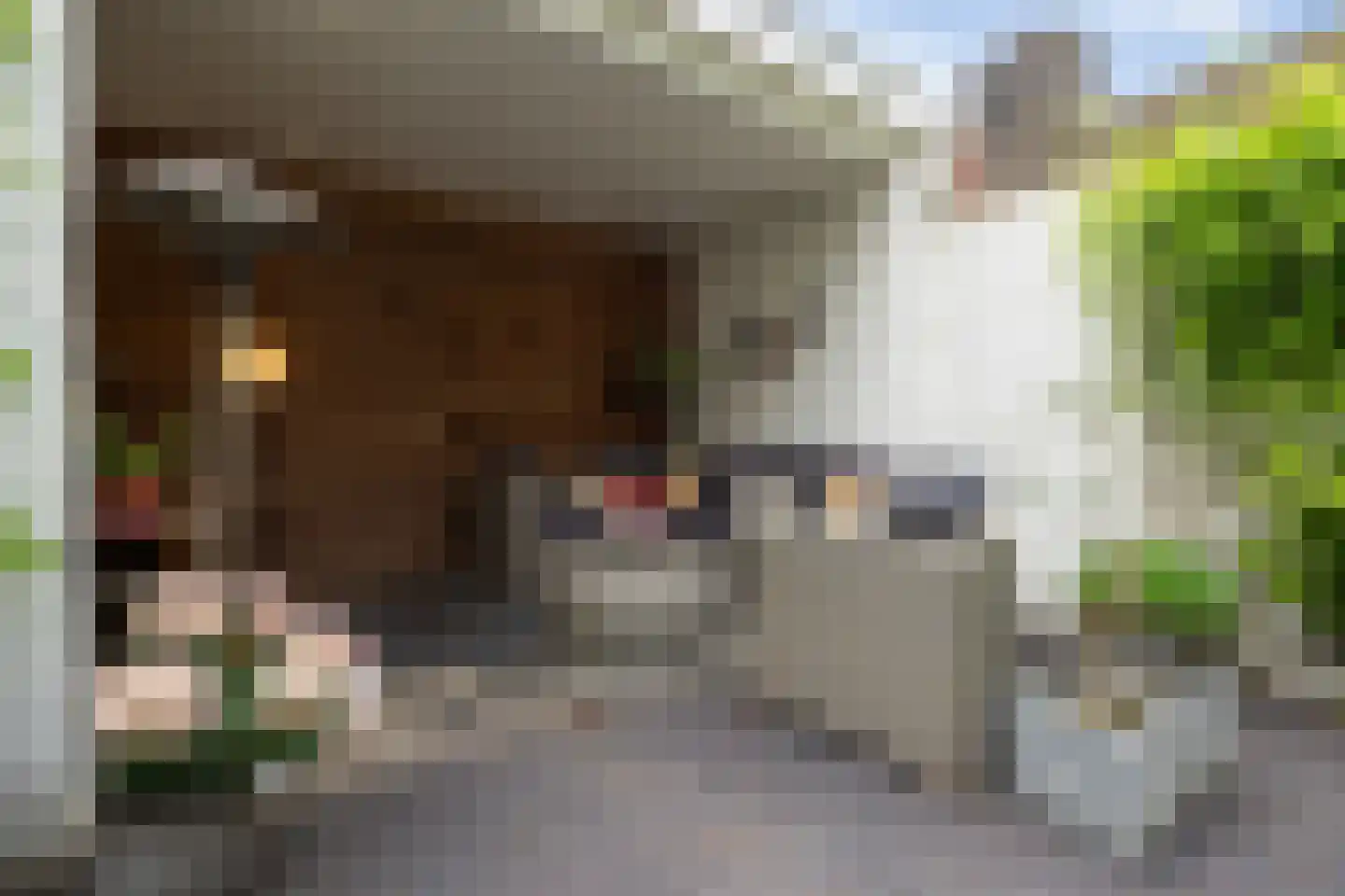 Oude Dieze 9 's-Hertogenbosch thumbnail 38