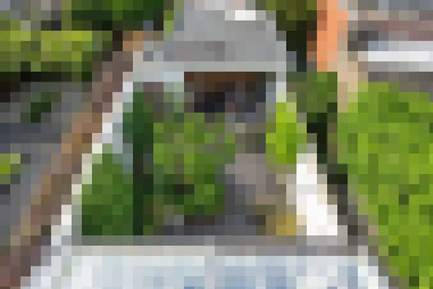 Oude Dieze 9 's-Hertogenbosch thumbnail 42