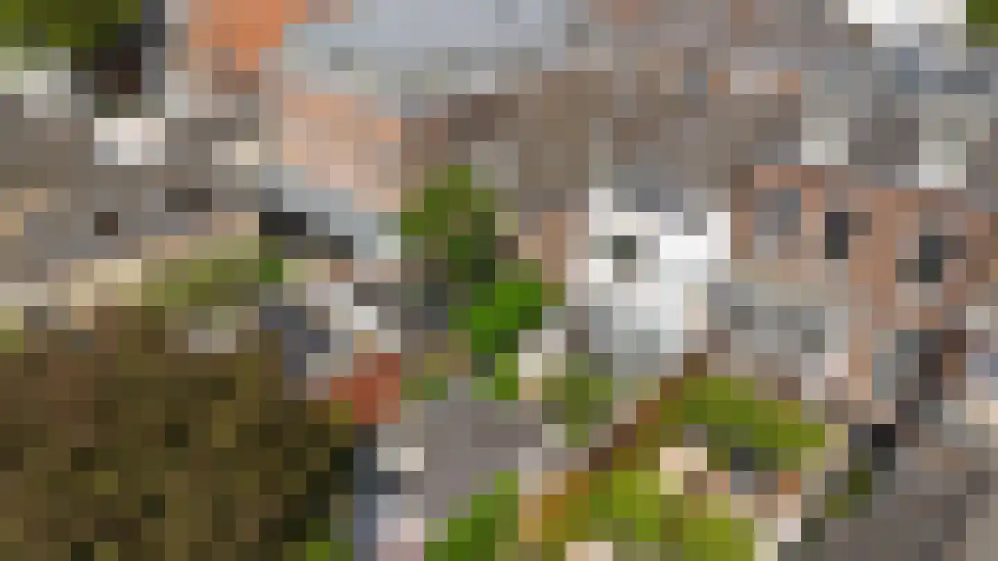 Oude Dieze 9 's-Hertogenbosch thumbnail 43