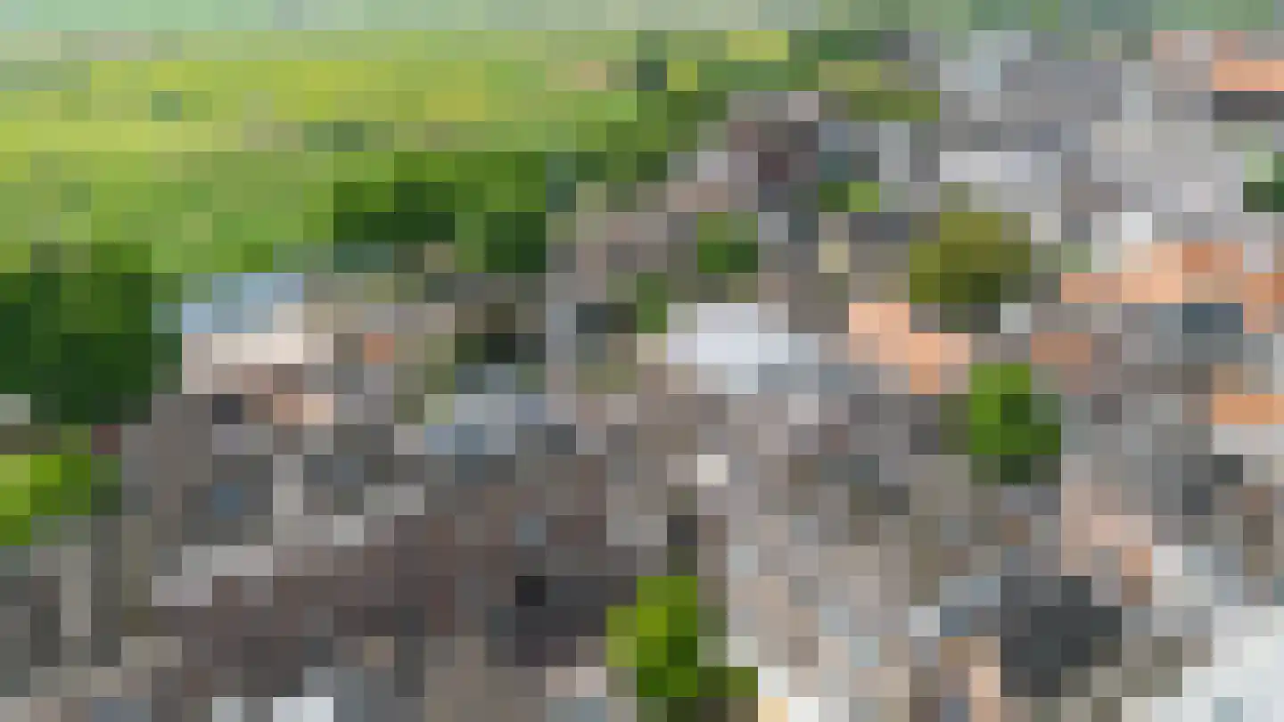 Oude Dieze 9 's-Hertogenbosch thumbnail 46