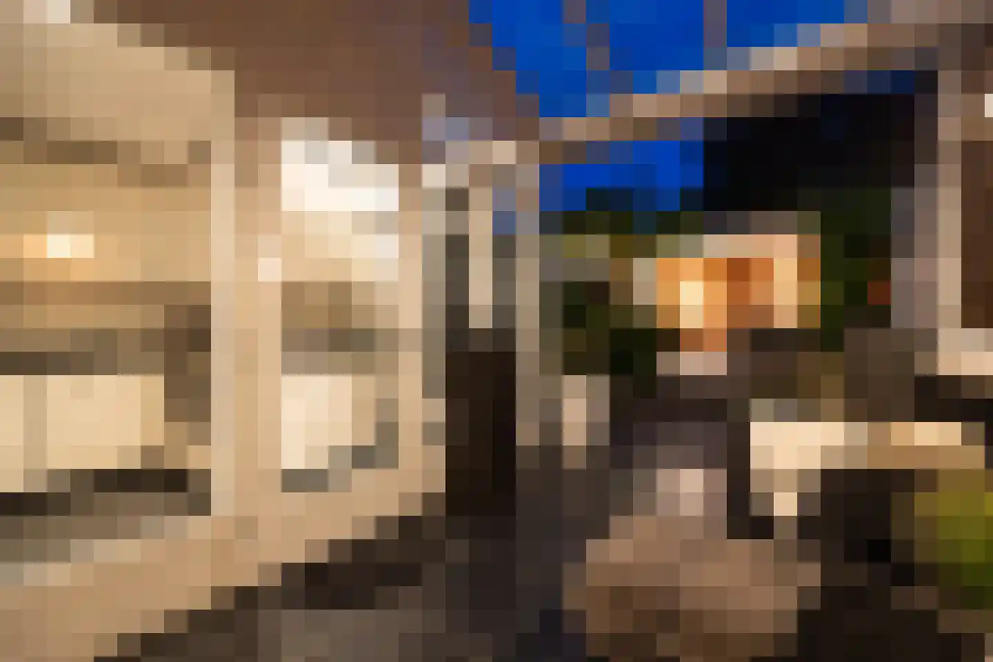 Oude Dieze 9 's-Hertogenbosch thumbnail 49