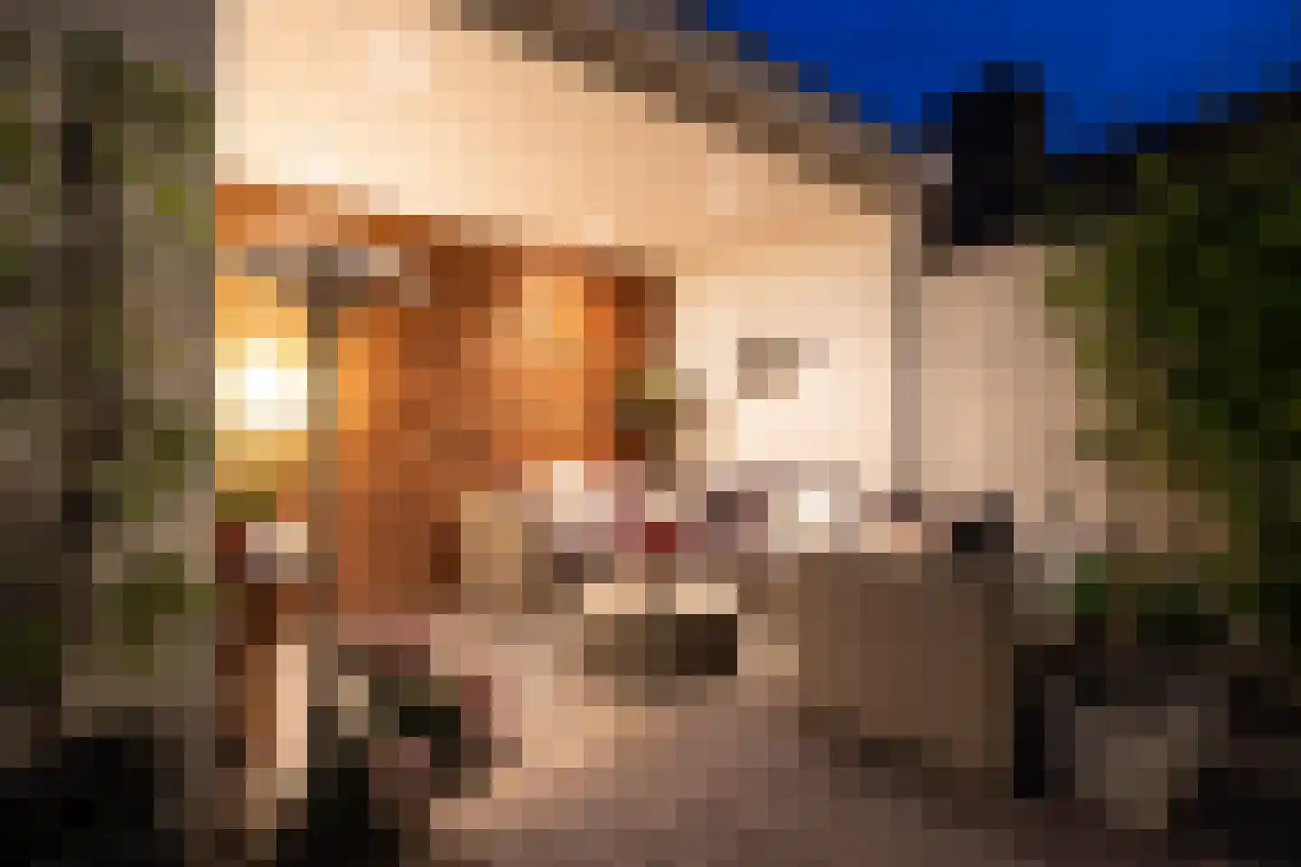 Oude Dieze 9 's-Hertogenbosch thumbnail 50