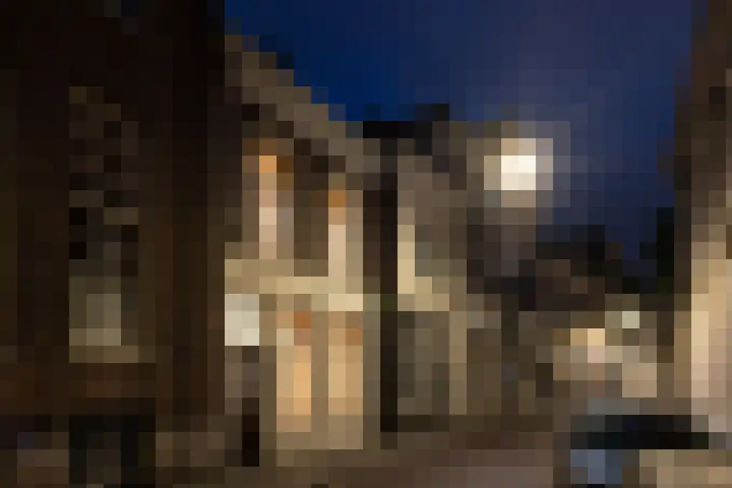 Oude Dieze 9 's-Hertogenbosch thumbnail 52
