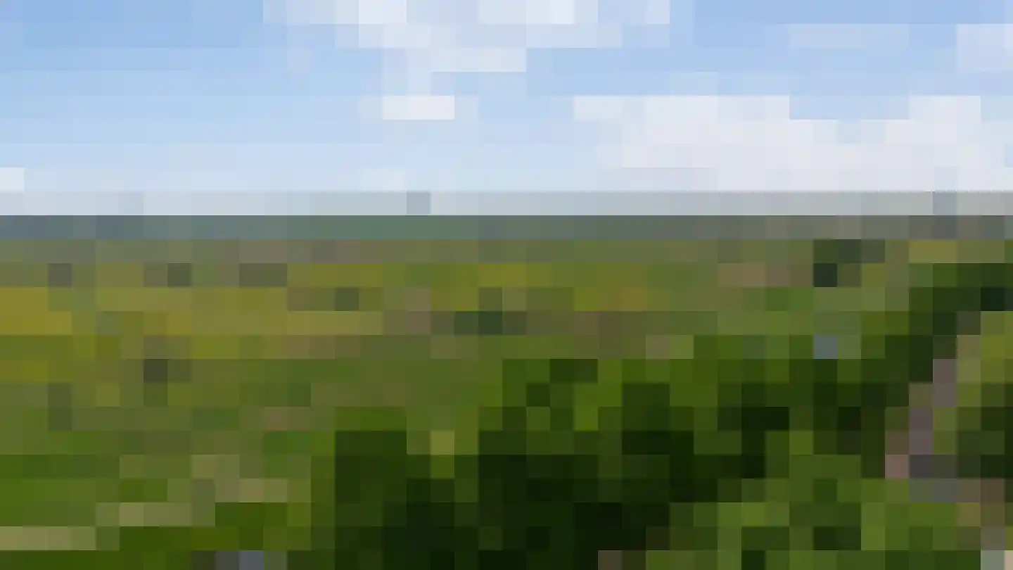 Oude Dieze 9 's-Hertogenbosch thumbnail 56
