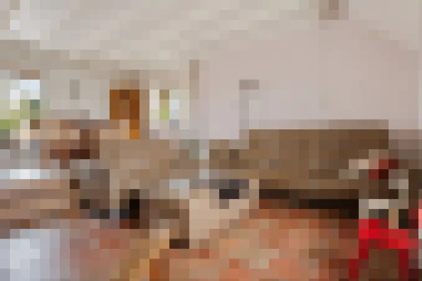 Oude Dijk 11 Usquert thumbnail 24