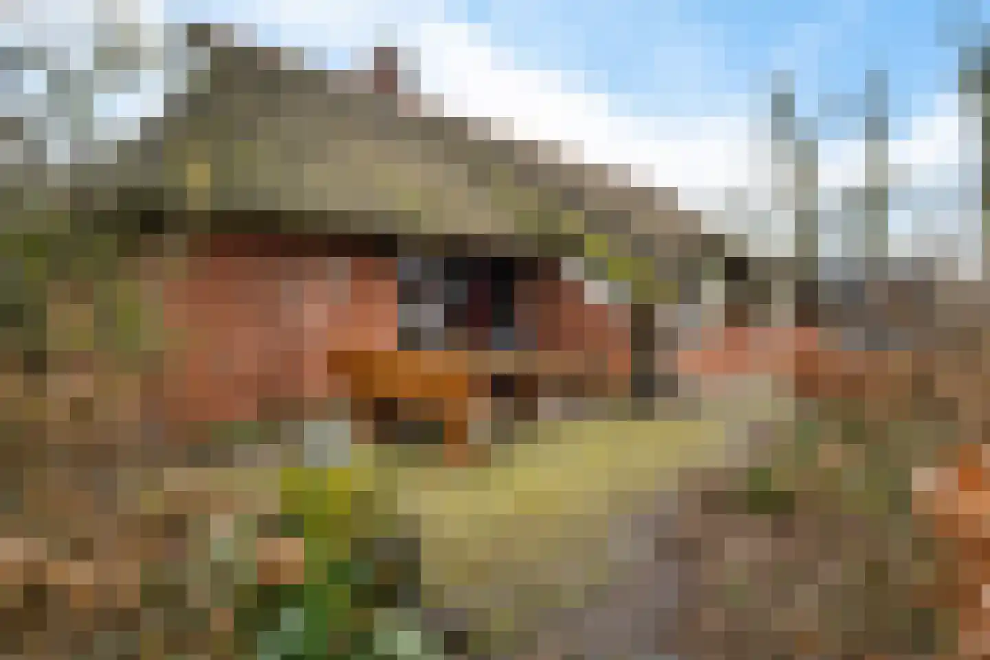 Oude Dijk 11 Usquert thumbnail 7