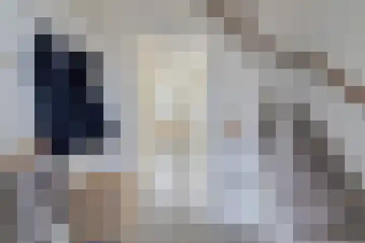 Oude Dijk 15 Zuidlaren thumbnail 11
