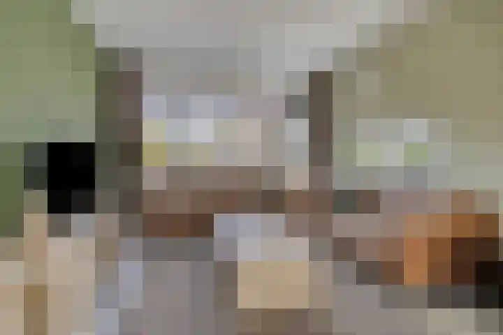 Oude Dijk 15 Zuidlaren thumbnail 17