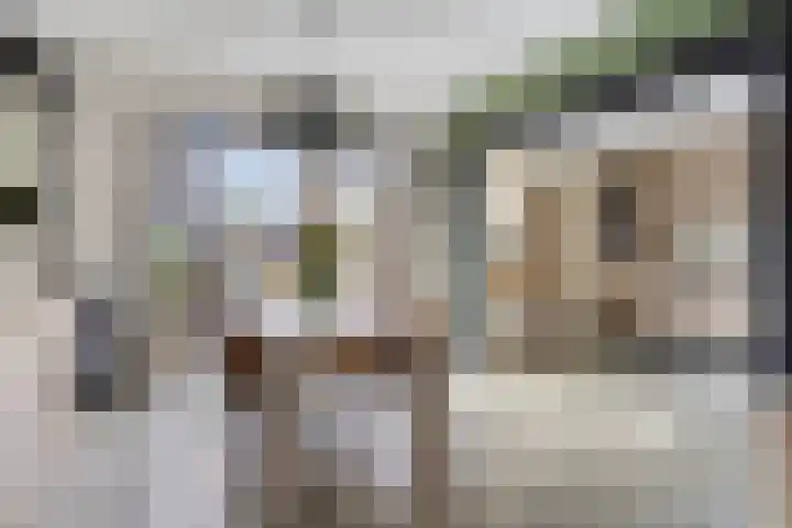 Oude Dijk 15 Zuidlaren thumbnail 19