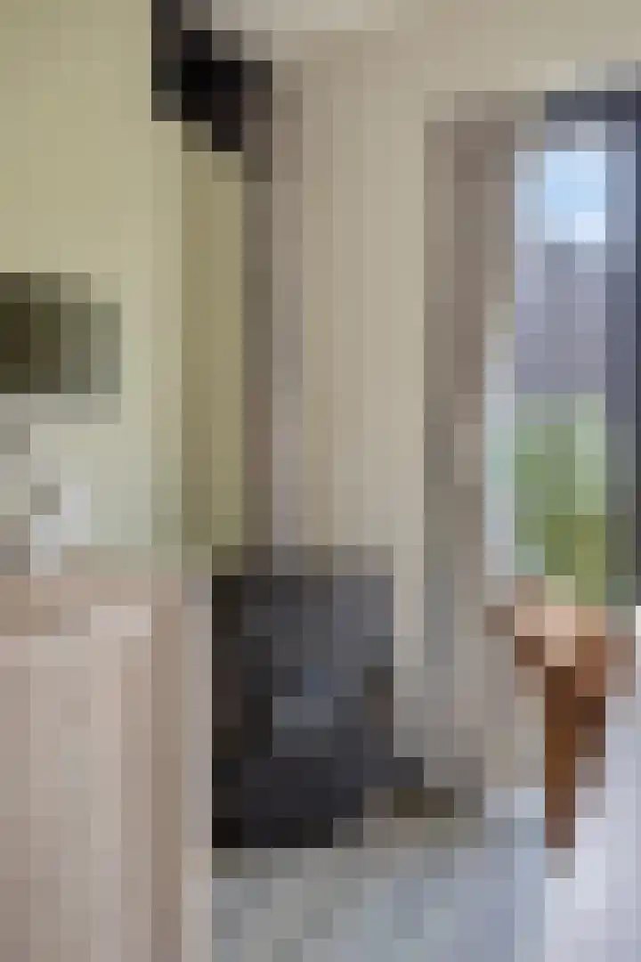 Oude Dijk 15 Zuidlaren thumbnail 20