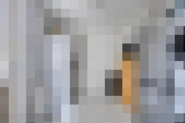 Oude Dijk 15 Zuidlaren thumbnail 24