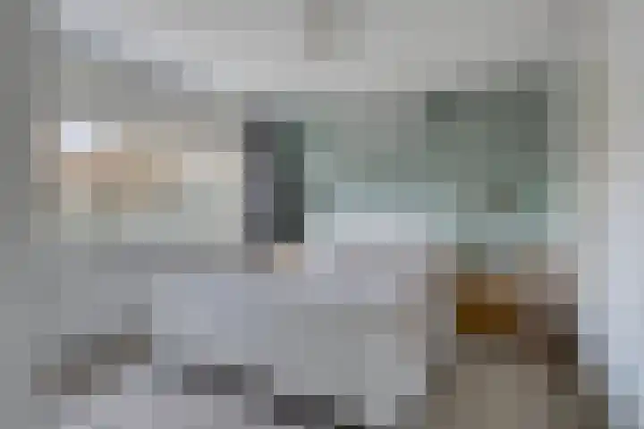 Oude Dijk 15 Zuidlaren thumbnail 28