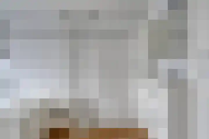 Oude Dijk 15 Zuidlaren thumbnail 30