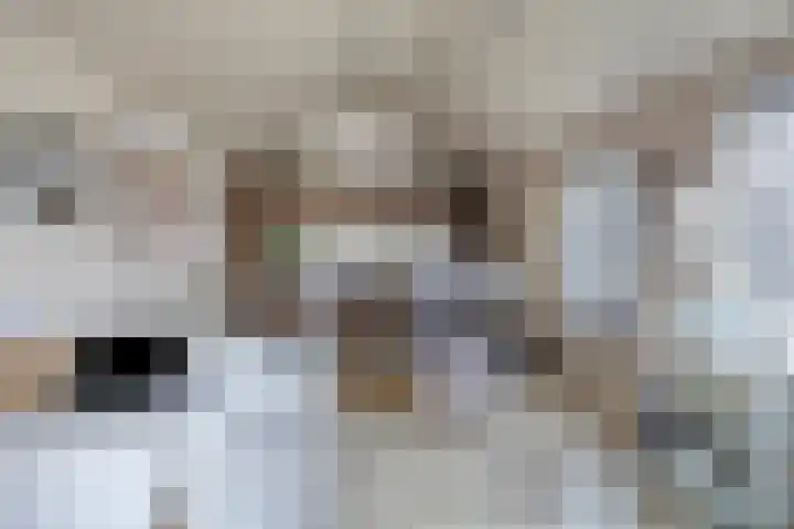 Oude Dijk 15 Zuidlaren thumbnail 4