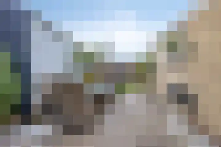 Oude Dijk 15 Zuidlaren thumbnail 45