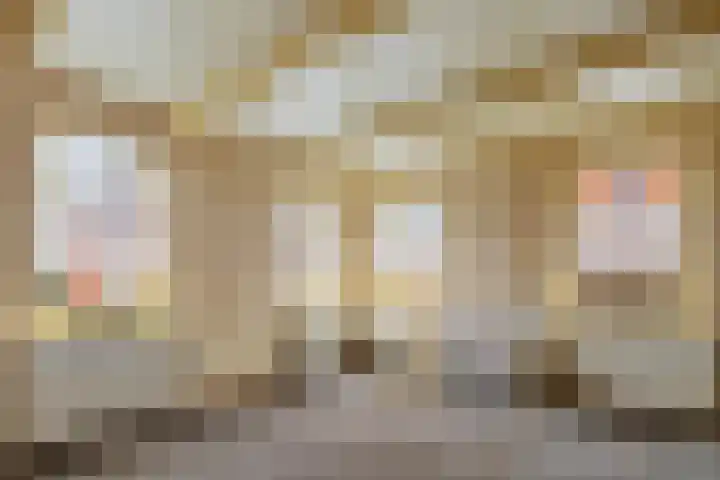 Oude Dijk 49 Den Andel thumbnail 12