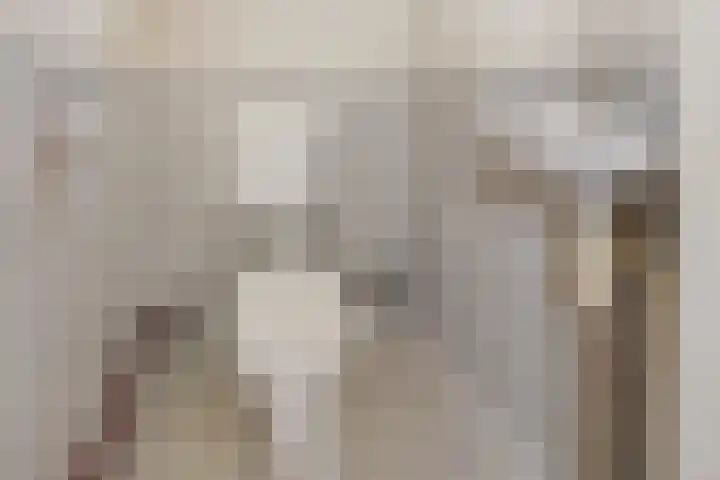 Oude Dijk 49 Den Andel thumbnail 16