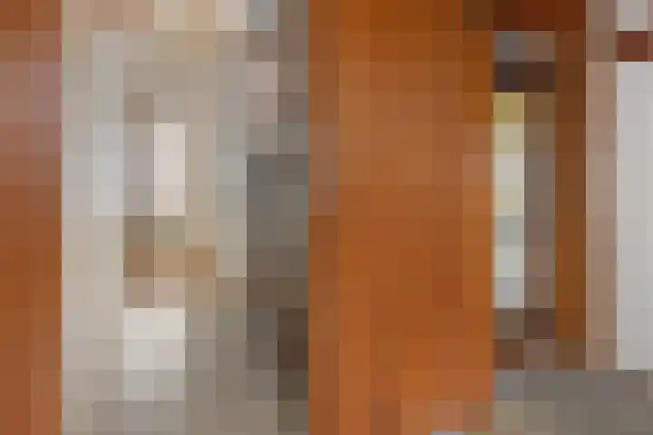 Oude Dijk 49 Den Andel thumbnail 24