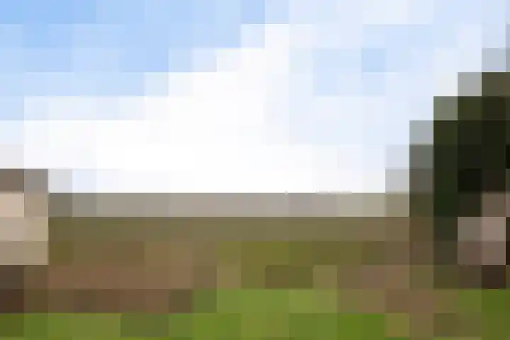 Oude Dijk 49 Den Andel foto 3