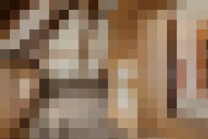 Oude Dijk 49 Den Andel thumbnail 31