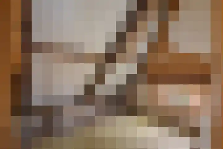 Oude Dijk 49 Den Andel thumbnail 36