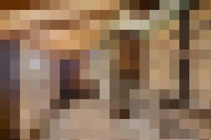 Oude Dijk 49 Den Andel thumbnail 39
