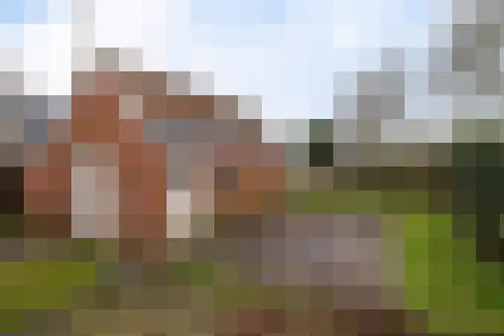 Oude Dijk 49 Den Andel thumbnail 44