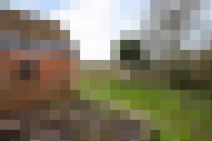 Oude Dijk 49 Den Andel thumbnail 45