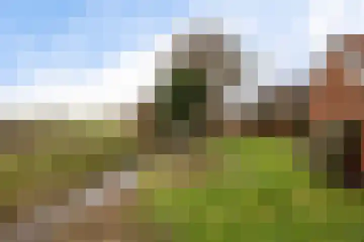 Oude Dijk 49 Den Andel thumbnail 46
