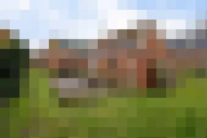 Oude Dijk 49 Den Andel thumbnail 5