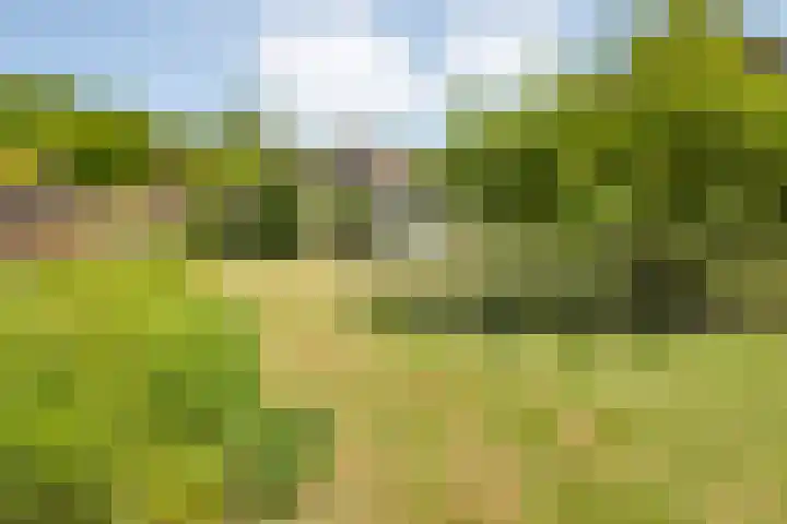 Oude Dijk 54 Beuningen thumbnail 27