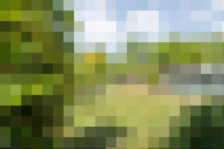 Oude Dijk 54 Beuningen thumbnail 28
