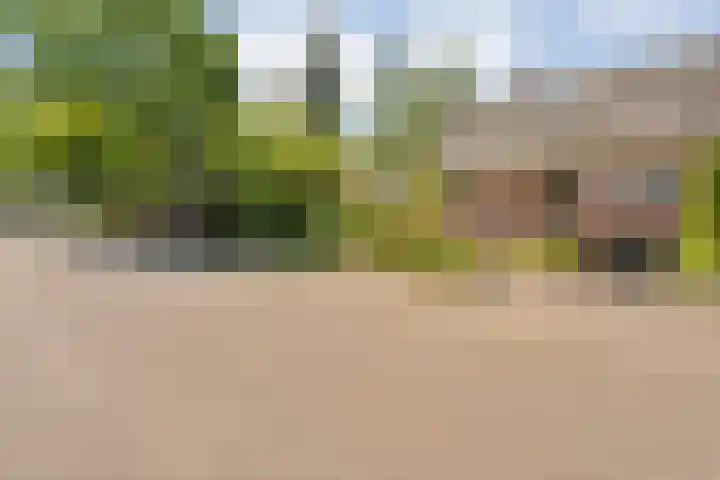 Oude Dijk 54 Beuningen thumbnail 29