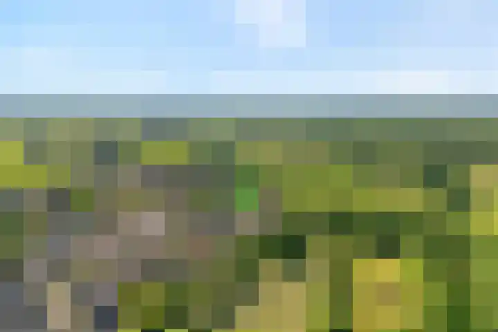 Oude Dijk 54 Beuningen thumbnail 4