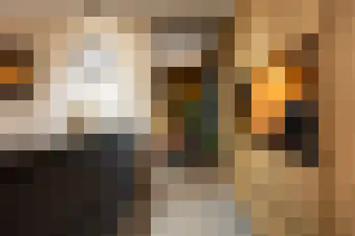 Oude Dijk 70 Liempde thumbnail 13