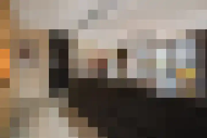 Oude Dijk 70 Liempde thumbnail 22