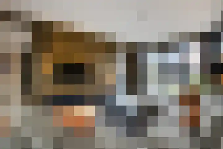 Oude Dijk 70 Liempde thumbnail 31